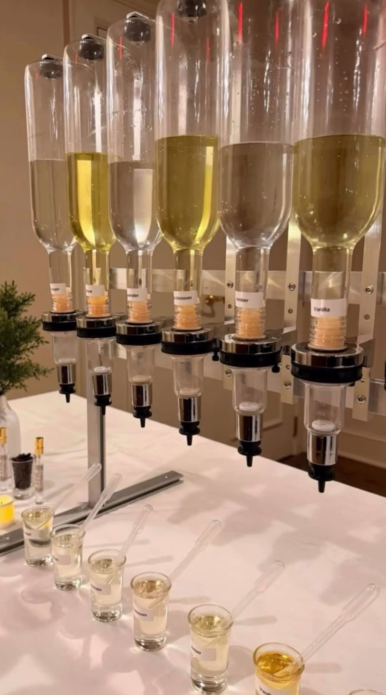 Perfume and cologne lab